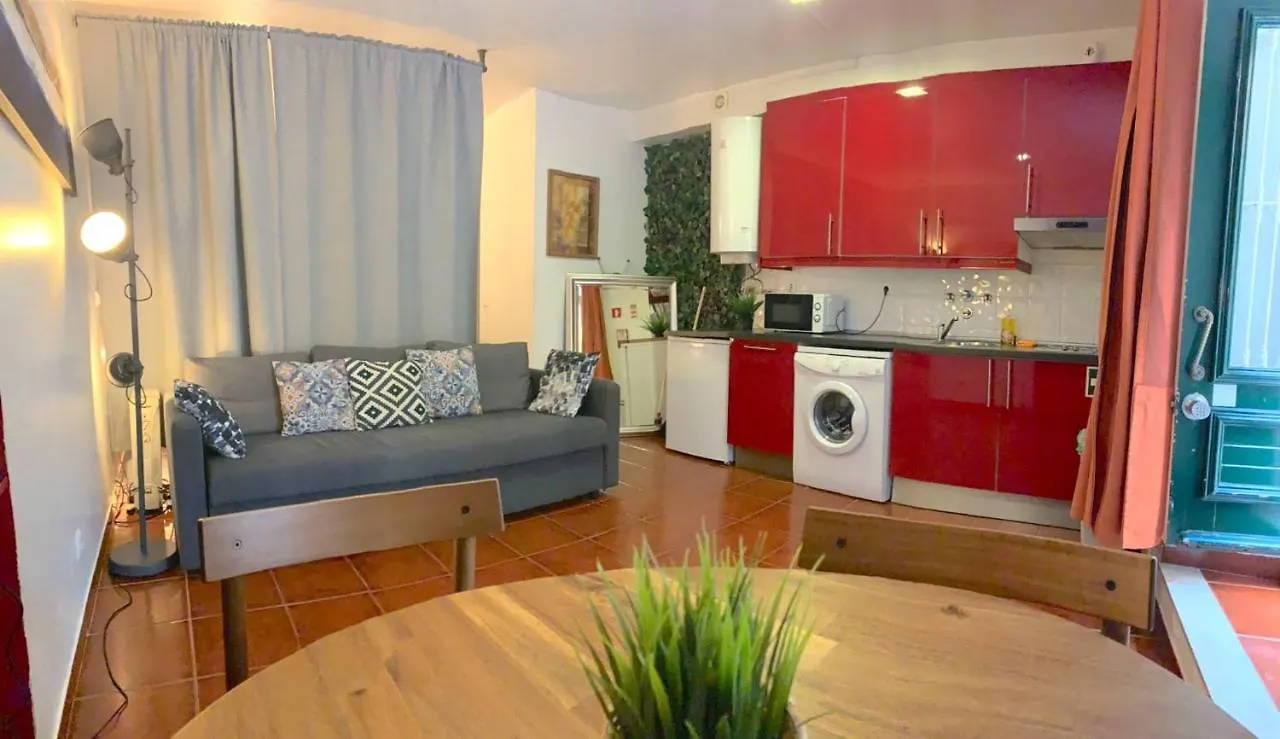 Studio Apartment - Tv Da Madalena 05 location